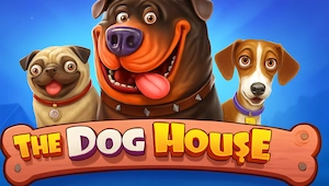 The Dog House